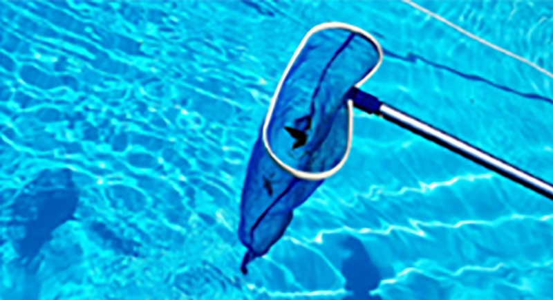 Accessoires d'entretien de la piscine